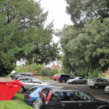 Arboricultural Method Statement